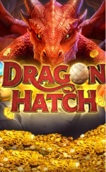 Dragon Hatch